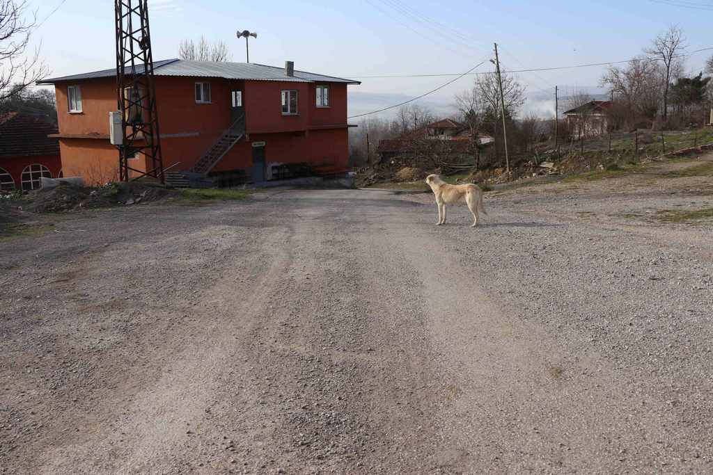 Kartepe